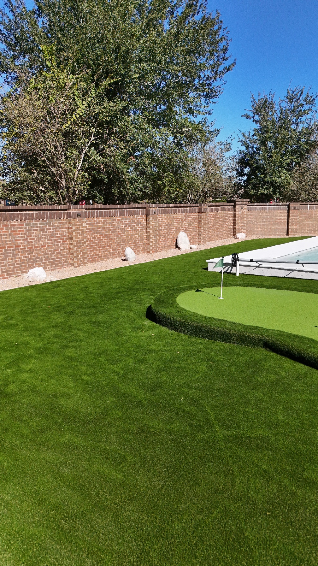 Backyard putting green with curved turf fringe, full lawn and pool alongside brick wall